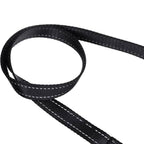 5 Foot Padded Single Handle Dog Leash