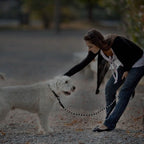 5 Ft. Dog Leash with Foam Handle