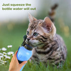 500ml Pet Water Bottle Portable Water Cup