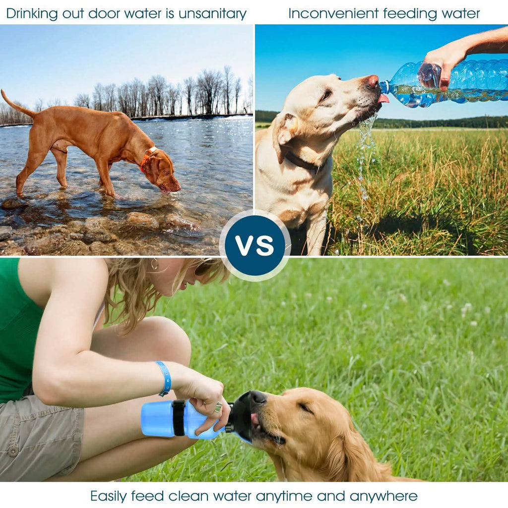 500ml Pet Water Bottle Portable Water Cup