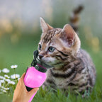 500ml Pet Water Bottle Portable Water Cup