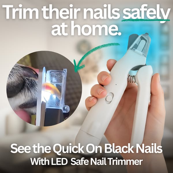 2 in 1 Dog Nail Clippers ( Grinder And Clippers )