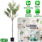 5.9ft Artificial Olive Tree with Lush Olive Branches and Fruits with Black Planter Pot