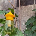 Hanging Fruit Fly Trap