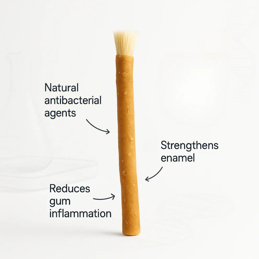 Natural Organic Miswak Toothbrush Sticks for Oral Care