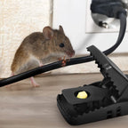 6-Pack: Reusable Mouse Trap