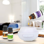 6-Pack: Therapeutic Aromatherapy Essential Oils Bottle