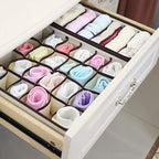 6-Pieces Set: Foldable Underwear Organizer Divider Container