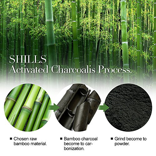 Skin Purifying Bamboo Charcoal Facial Mask with Free Charcoal Brush
