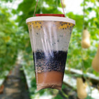 Eco-Friendly Disposable Fly Trap Outdoor Bag