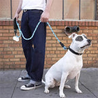 Reflective Dog Leash with Padded Handle