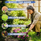 Sweet Cherry Seeds , High Germination Rate, Large-Fruited Variety, Perfect for Gardens & Containers