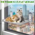 Cat Hammock Window