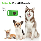 Long‑Lasting Flea & Tick Protection for Pets