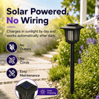 Solar Mosquito Zapper Path Light