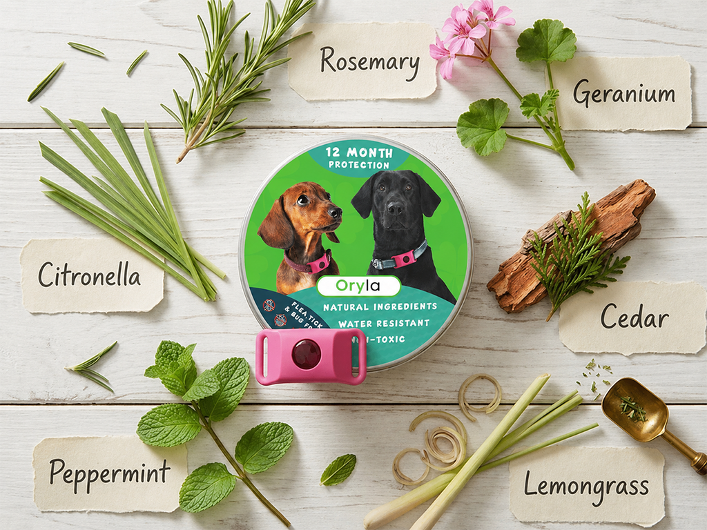 Long‑Lasting Flea & Tick Protection for Pets