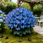 Easy-to-Grow Seeds — Butterfly Blooms for a Living Garden