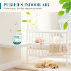 2026 New & Upgraded -- Indoor Air Purification Dust Removal Magic Box