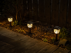 Solar Garden Lantern Lights