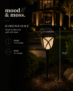 Solar Garden Lantern Lights
