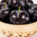 Sweet Plum Growing Kit