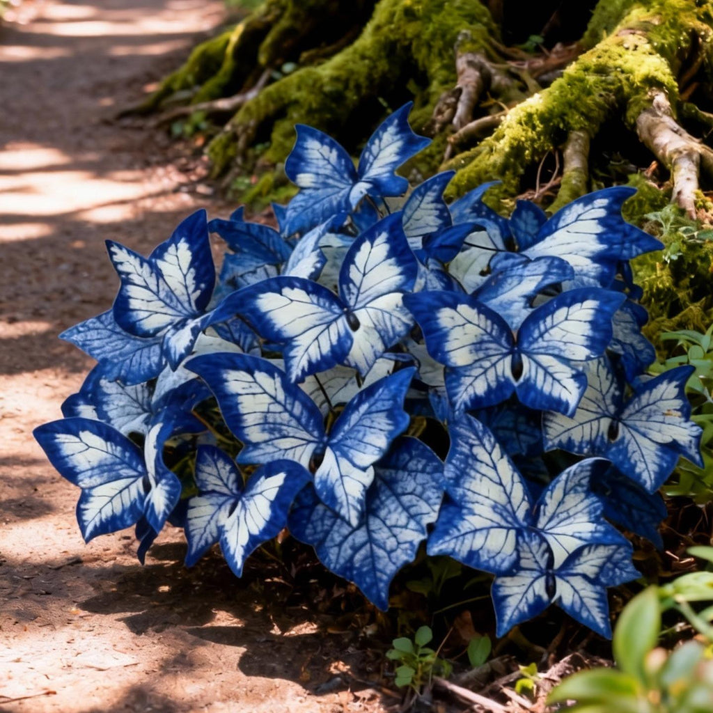 Easy-to-Grow Seeds — Butterfly Blooms for a Living Garden
