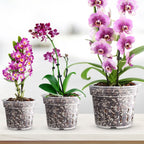 9-Piece: Orchid Pots Clear Reusable Plastic Flower Plant Nursery Planter