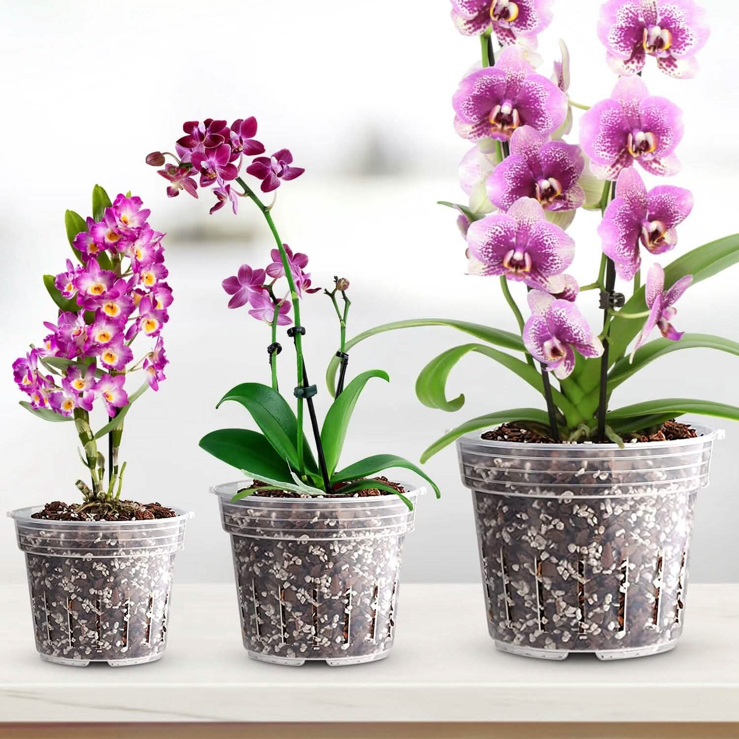 9-Piece: Orchid Pots Clear Reusable Plastic Flower Plant Nursery Planter
