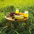 Portable Picnic Table