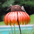 Flower-Shaped Bird Feeder