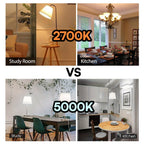 4-Pack A19 LED Light Bulbs, 60W Equivalent, Soft White or Cool Daylight, E26 Base, Non-Dimmable