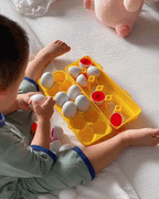 Montessori Geometric Eggs