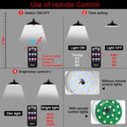 Solar Shed Lights