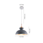 Modern Single Pendant Dome Light | Scandinavian Metal Hanging Lamp