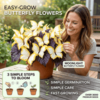 Easy-to-Grow Seeds — Butterfly Blooms for a Living Garden