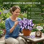 Easy-to-Grow Seeds — Butterfly Blooms for a Living Garden