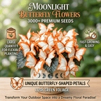 Easy-to-Grow Seeds — Butterfly Blooms for a Living Garden