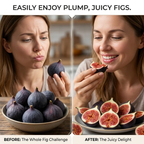 High-Yield Dwarf Fig Tree – Fast-Growing, Sweet & Crisp Fruit, Perfect for Pots, Balconies & Farms