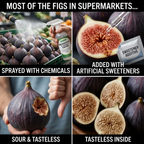 High-Yield Dwarf Fig Tree – Fast-Growing, Sweet & Crisp Fruit, Perfect for Pots, Balconies & Farms