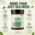 16-in-1 Sea Moss Gummies for Daily Wellness Support