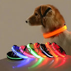 LED Dog Collar Nylon