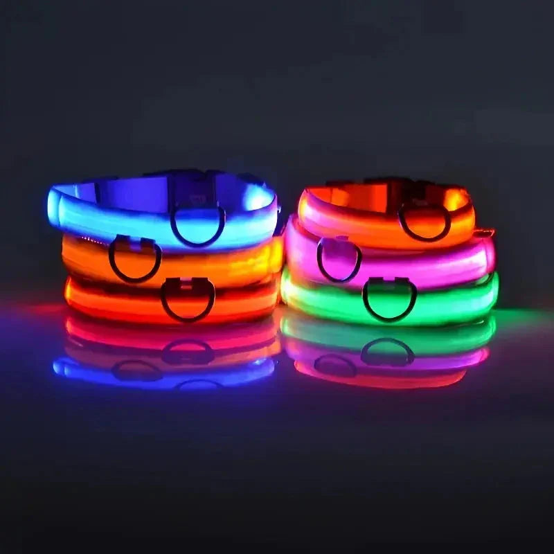 LED Dog Collar Nylon
