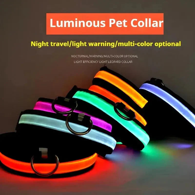 LED Dog Collar Nylon