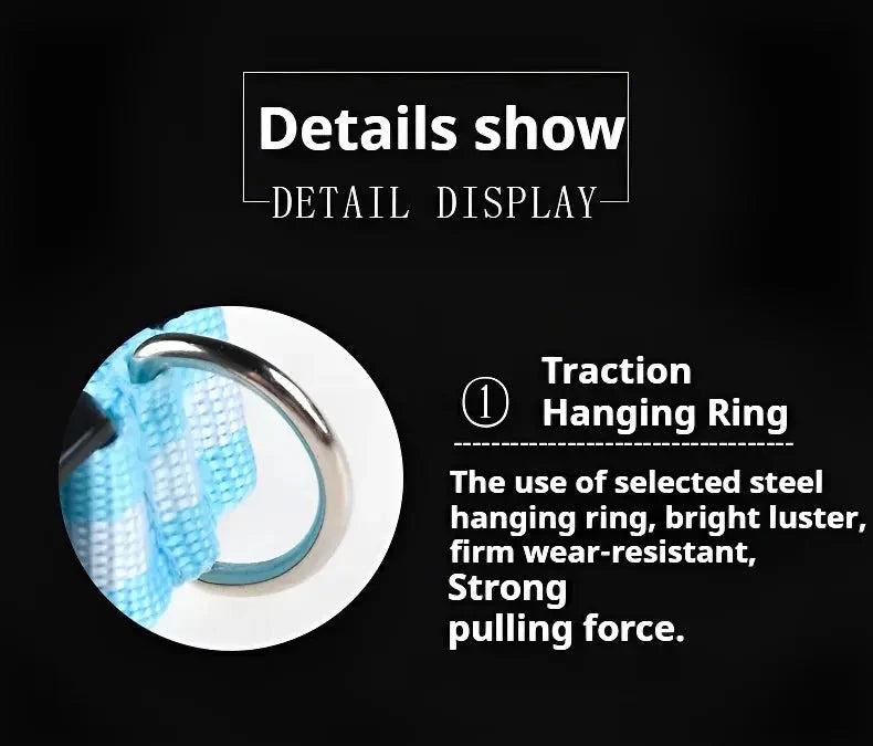LED Dog Collar Nylon