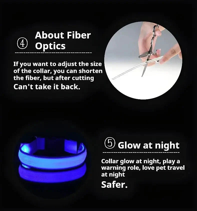 LED Dog Collar Nylon