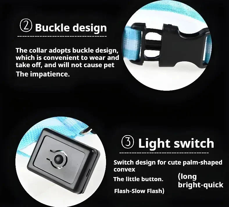 LED Dog Collar Nylon