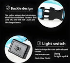 LED Dog Collar Nylon