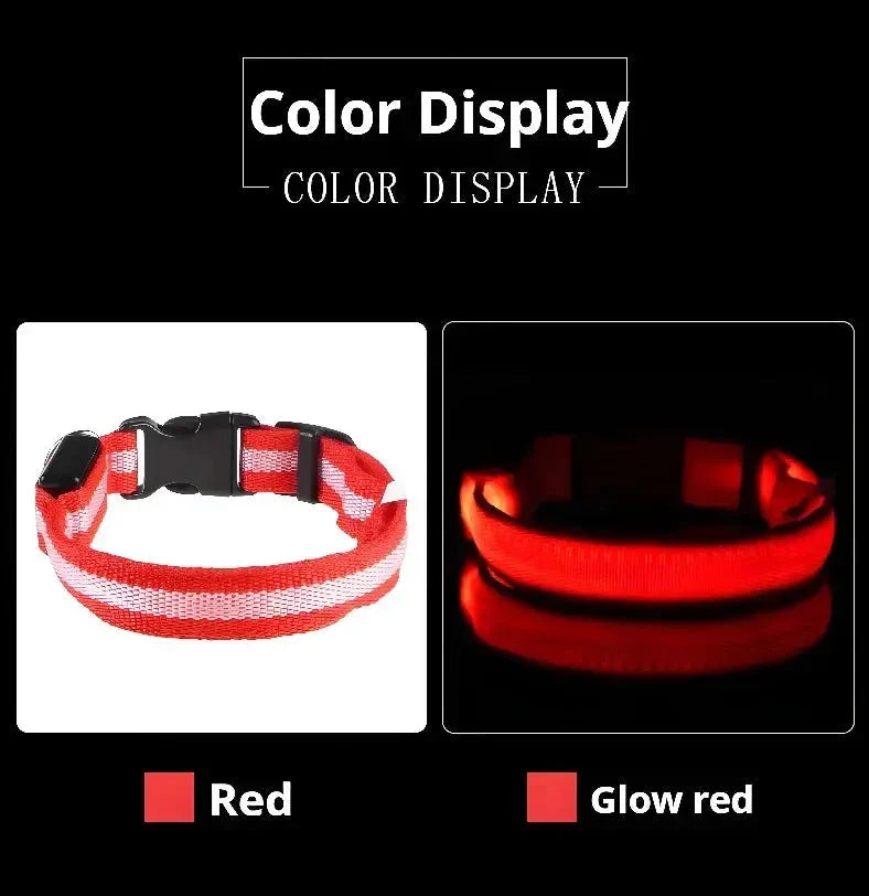 LED Dog Collar Nylon