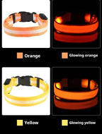 LED Dog Collar Nylon