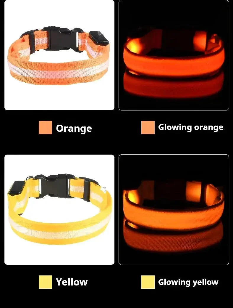 LED Dog Collar Nylon